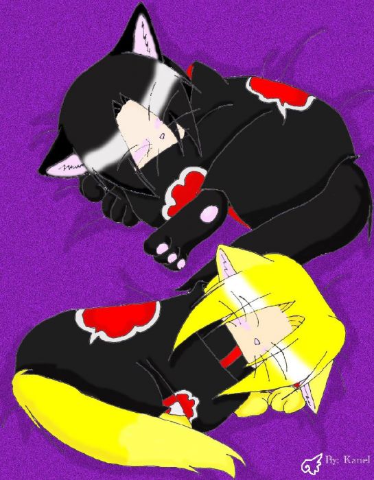 Itachi&kanel Kittens