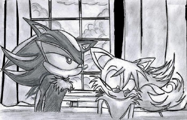 Shadow +tails Request
