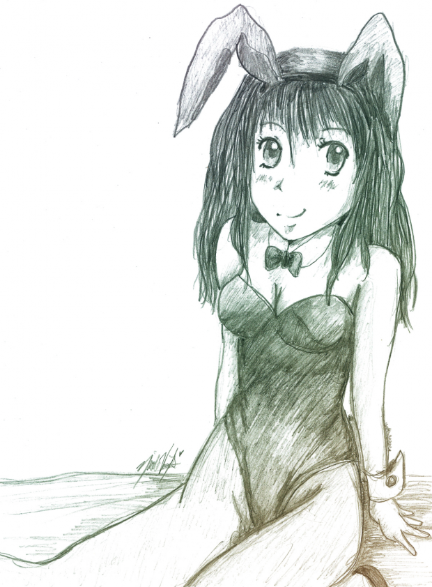 Bunny outfit
