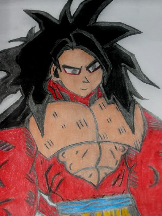 Ssj4 Goku
