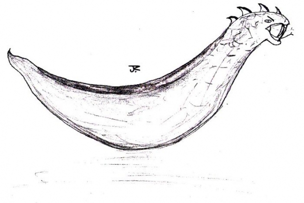 The Bananaconda