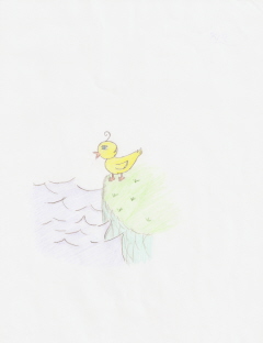 Duck,as A Duck, Thinking