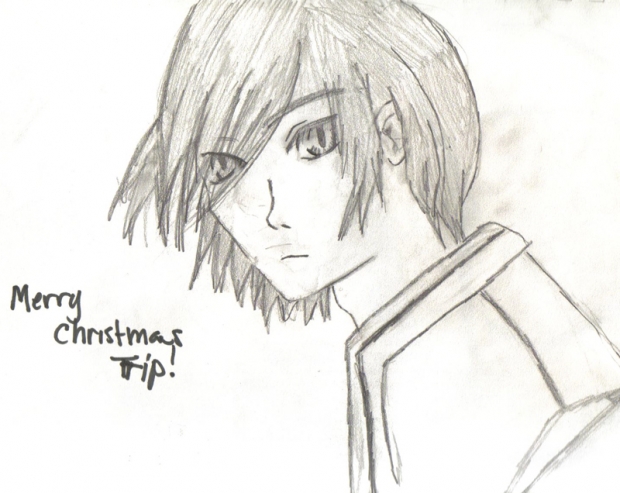 Merry Christmas Trip - Husky