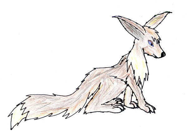 Eevee 2008
