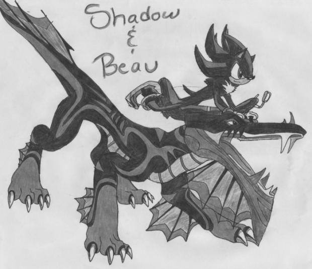 Shadow & Beau Shade