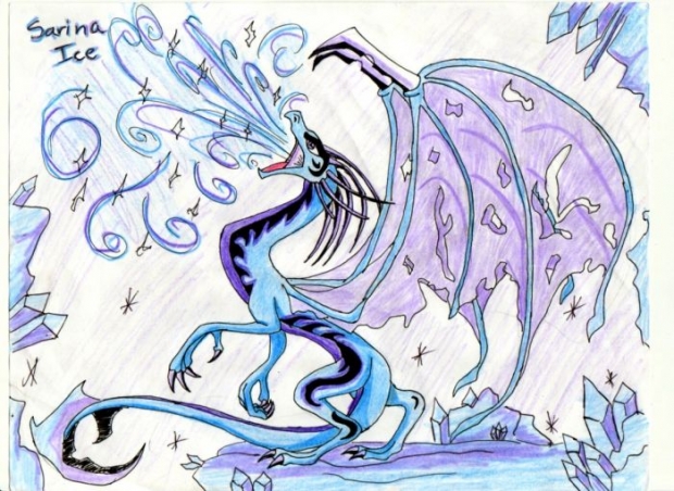 Sarnia Ice Dragon 2