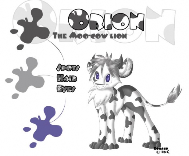 Orion: The Moo-cow Lion