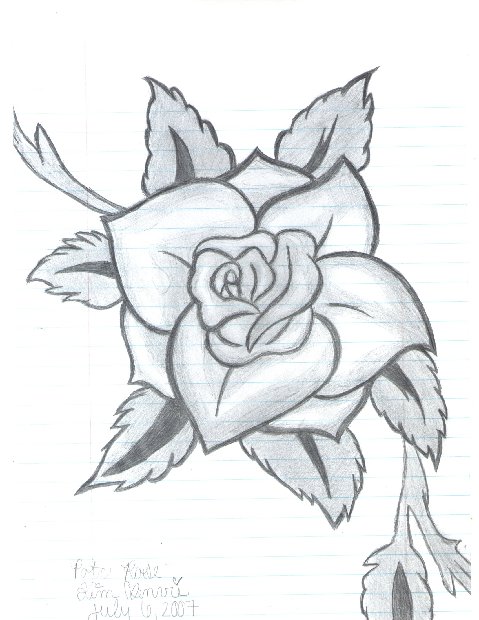 Pirates Of The Caribbean Rose