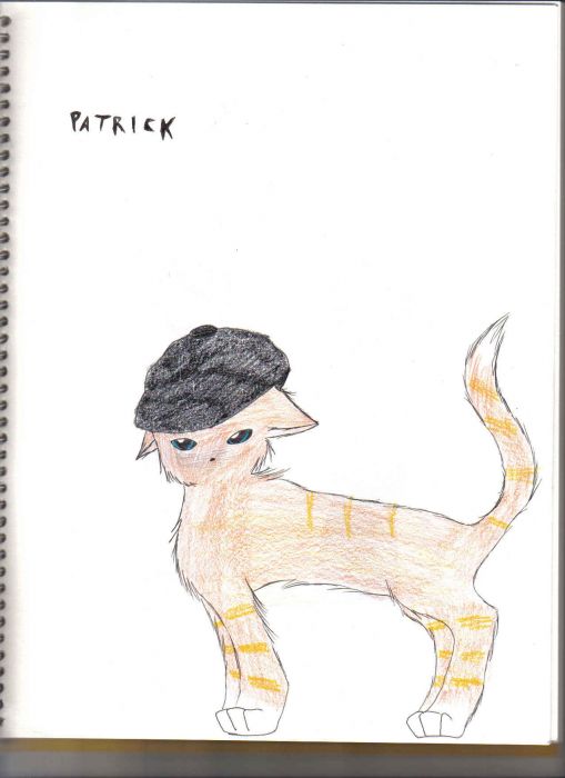 Patrick... As A Cat...