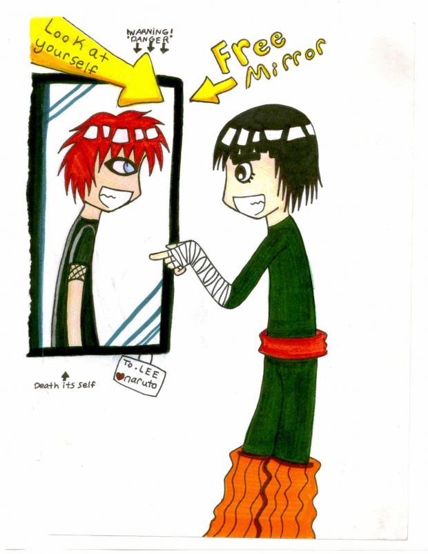 lees mishap with the mirror