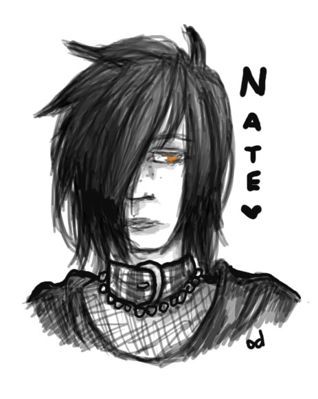 Somewhat Realistic Nate