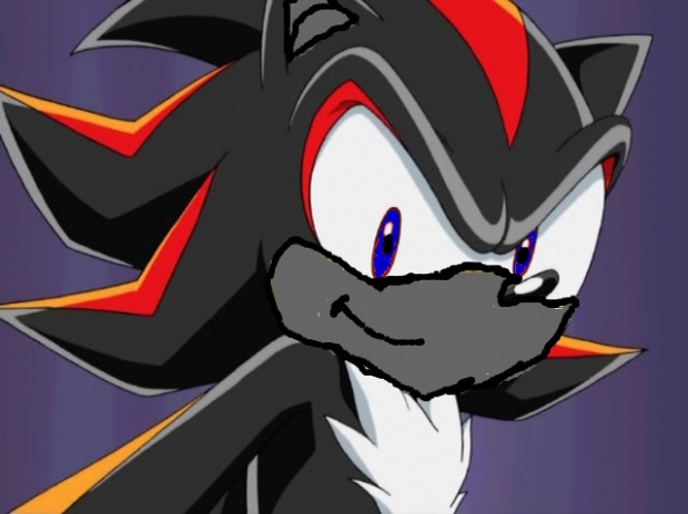 Shadowroydahedgehog
