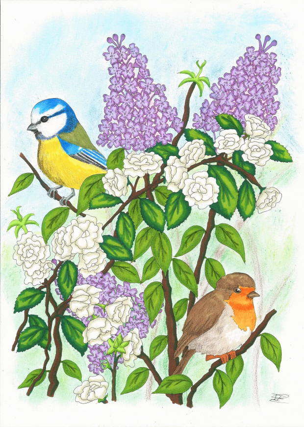 Birds and Flowers