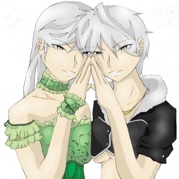 A Sheer Reflection 2