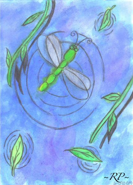 The Dragonfly's Journey