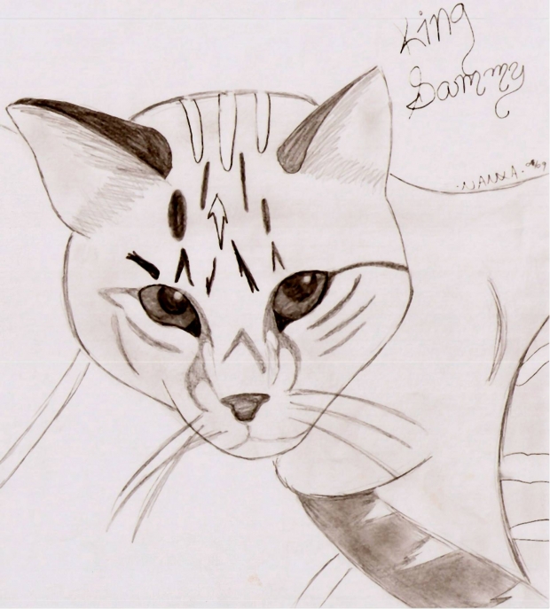 King Solomon aka Sammy! King of all boxes!