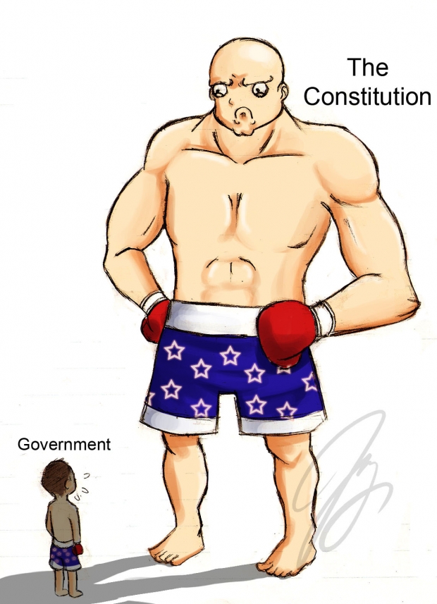 The Constitution Pwns