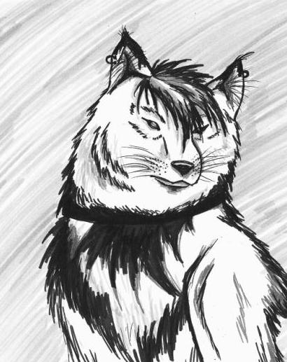 BlackTip - DixieWings Contest Entry