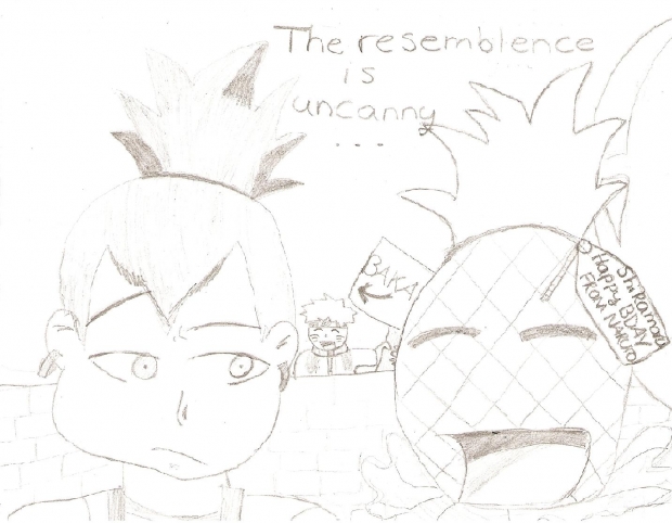 Shikamaru's Birthday Present....