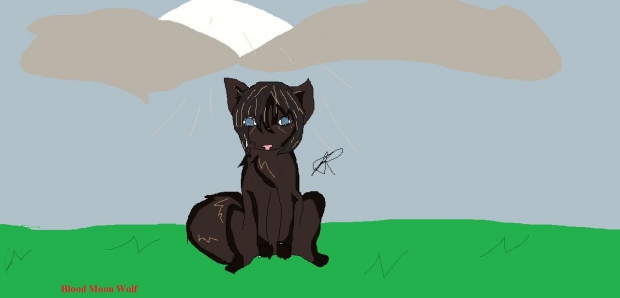 Inspiration comes in a bark.