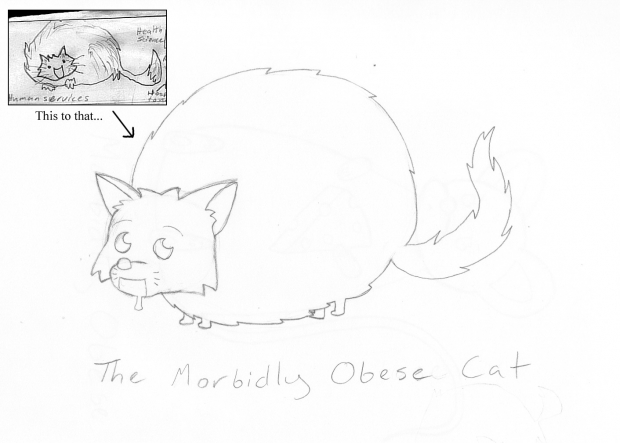 The Morbidly Obese Cat