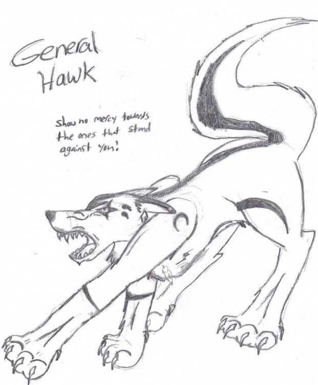 General hawk