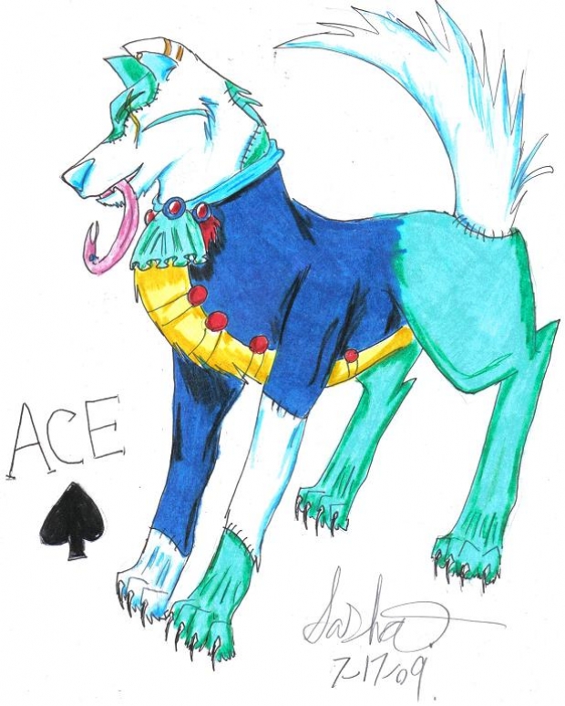 Ace wolf
