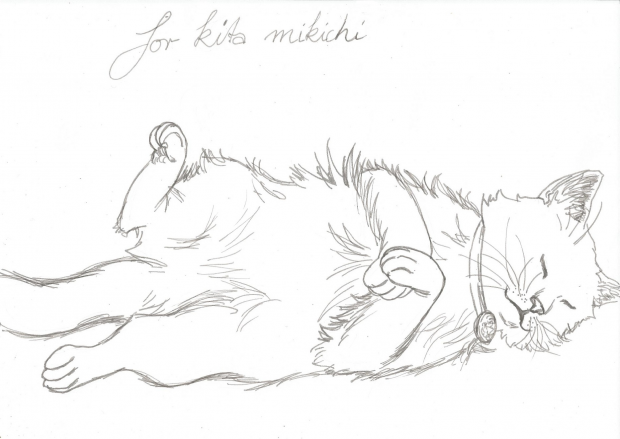 sleeping cat  - lineart