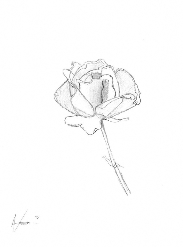 A rose for a special person (lineart)