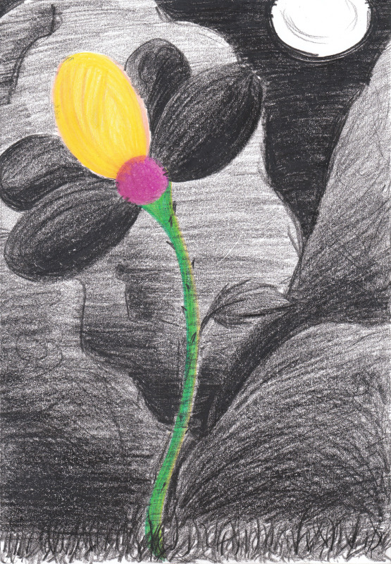 Finding color in the darkest things