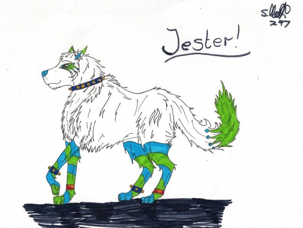 The jester