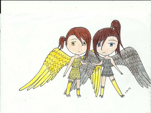 Hara and Sana half-forms