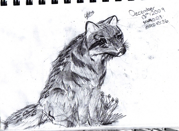 Peta,,, the hyena pup :D