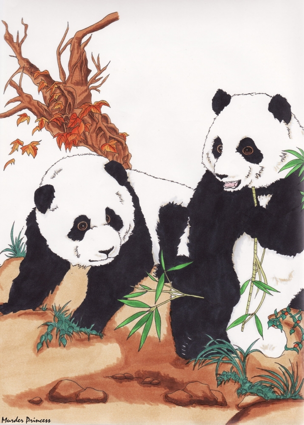 Pandas
