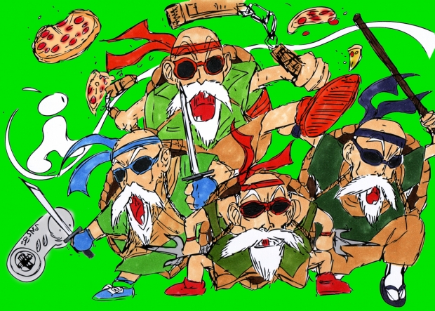 Senior Muten Roshi Turtles