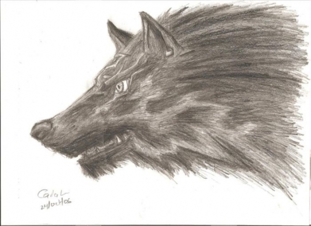 wolf link