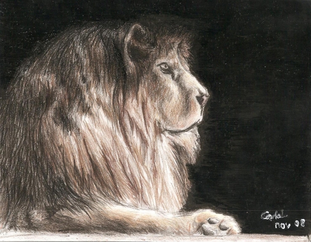 lone lion