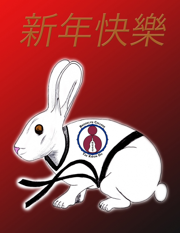 Brooklyn College  Taekwondo chinese new year 2011