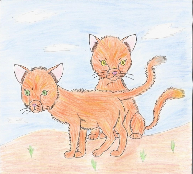 Suntail and Moontail