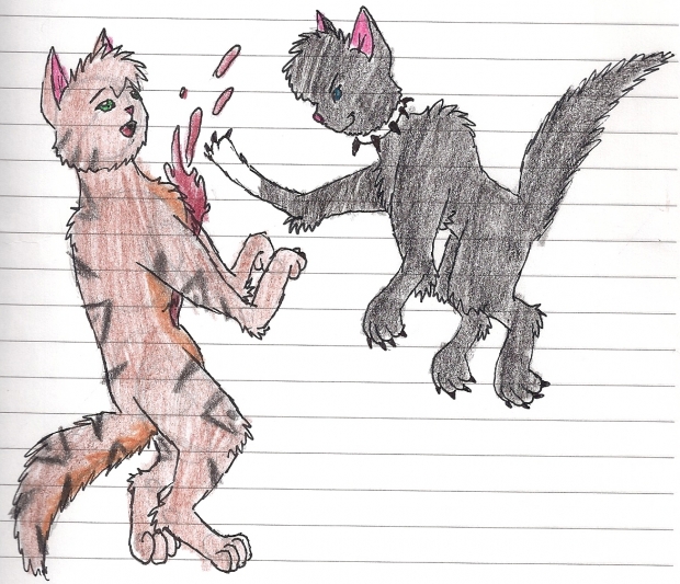 tigerstar and scourge battle