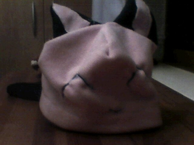 my cat hat =3