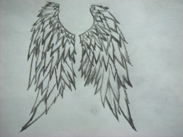 - Angel Wings -