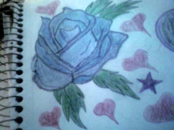 a rose for some one special