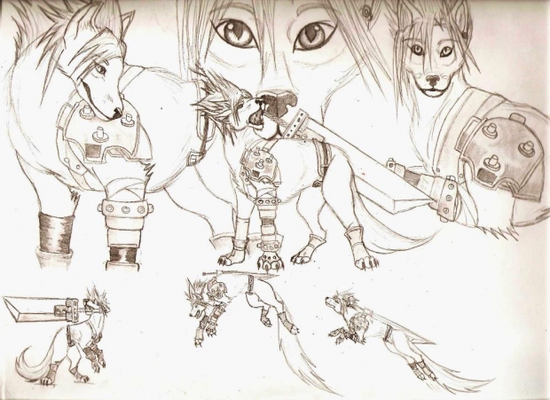 Cloud Wolf Form: Dissidia