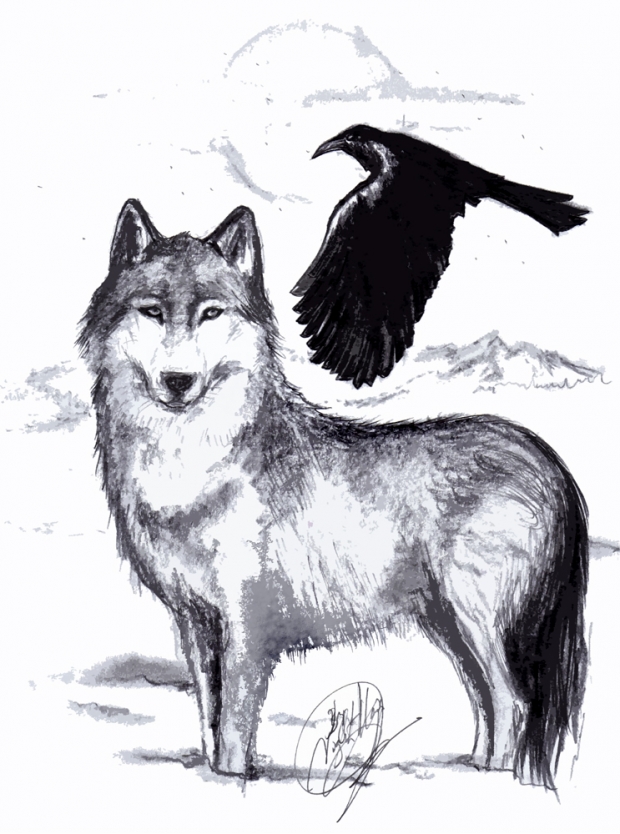 wolf and raven