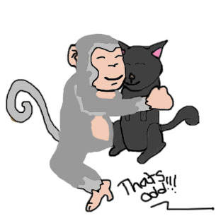 A Monkey And His Cat!