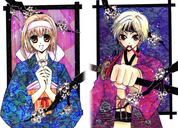 the princess and her knight