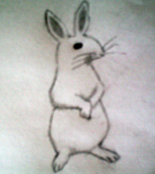 Bunny Wabbit