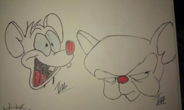 Pinky and The Brain Quickdraw