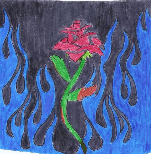 Flaming Rose